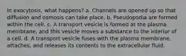 In exocytosis, what happens? a. Channels are opened up so that diffusion and osmosis can take place. b. Pseudopodia are formed within the cell. c. A transport vesicle is formed at the plasma membrane, and this vesicle moves a substance to the interior of a cell. d. A transport vesicle fuses with the plasma membrane, attaches, and releases its contents to the extracellular fluid.