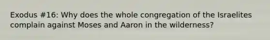 Exodus #16: Why does the whole congregation of the Israelites complain against Moses and Aaron in the wilderness?