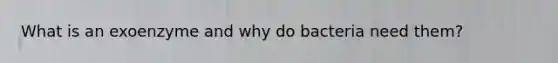 What is an exoenzyme and why do bacteria need them?
