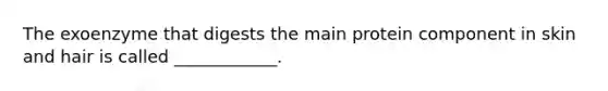 The exoenzyme that digests the main protein component in skin and hair is called ____________.