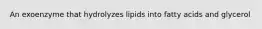 An exoenzyme that hydrolyzes lipids into fatty acids and glycerol