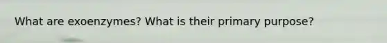 What are exoenzymes? What is their primary purpose?
