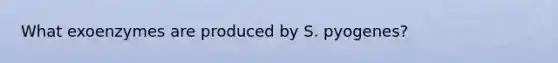 What exoenzymes are produced by S. pyogenes?