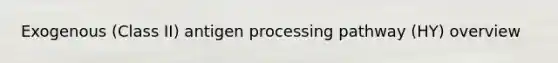 Exogenous (Class II) antigen processing pathway (HY) overview