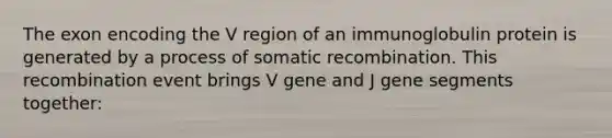 The exon encoding the V region of an immunoglobulin protein is generated by a process of somatic recombination. This recombination event brings V gene and J gene segments together: