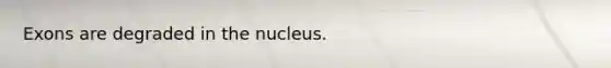 Exons are degraded in the nucleus.