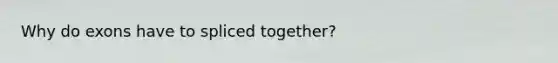 Why do exons have to spliced together?