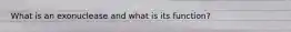 What is an exonuclease and what is its function?