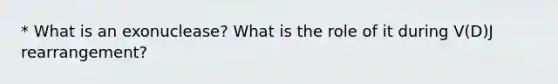 * What is an exonuclease? What is the role of it during V(D)J rearrangement?