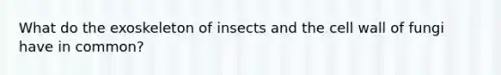 What do the exoskeleton of insects and the cell wall of fungi have in common?