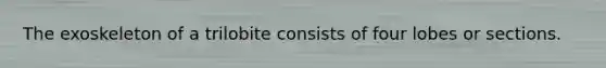 The exoskeleton of a trilobite consists of four lobes or sections.
