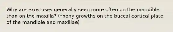 Why are exostoses generally seen more often on the mandible than on the maxilla? (*bony growths on the buccal cortical plate of the mandible and maxillae)