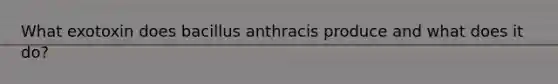 What exotoxin does bacillus anthracis produce and what does it do?