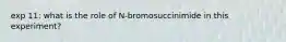 exp 11: what is the role of N-bromosuccinimide in this experiment?