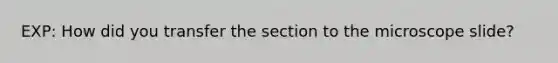 EXP: How did you transfer the section to the microscope slide?