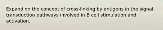 Expand on the concept of cross-linking by antigens in the signal transduction pathways involved in B cell stimulation and activation.