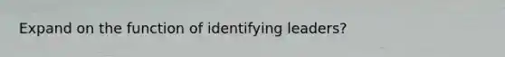 Expand on the function of identifying leaders?