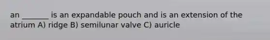 an _______ is an expandable pouch and is an extension of the atrium A) ridge B) semilunar valve C) auricle