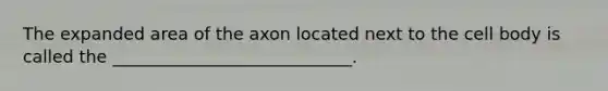 The expanded area of the axon located next to the cell body is called the ____________________________.