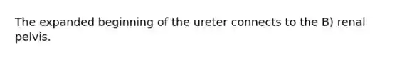 The expanded beginning of the ureter connects to the B) renal pelvis.