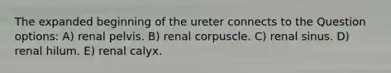 The expanded beginning of the ureter connects to the Question options: A) renal pelvis. B) renal corpuscle. C) renal sinus. D) renal hilum. E) renal calyx.