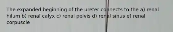 The expanded beginning of the ureter connects to the a) renal hilum b) renal calyx c) renal pelvis d) renal sinus e) renal corpuscle