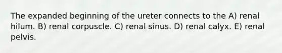 The expanded beginning of the ureter connects to the A) renal hilum. B) renal corpuscle. C) renal sinus. D) renal calyx. E) renal pelvis.