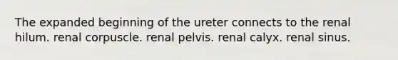 The expanded beginning of the ureter connects to the renal hilum. renal corpuscle. renal pelvis. renal calyx. renal sinus.