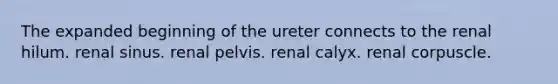 The expanded beginning of the ureter connects to the renal hilum. renal sinus. renal pelvis. renal calyx. renal corpuscle.