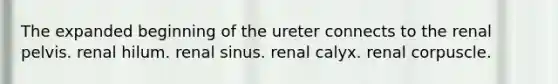 The expanded beginning of the ureter connects to the renal pelvis. renal hilum. renal sinus. renal calyx. renal corpuscle.