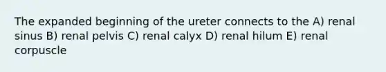 The expanded beginning of the ureter connects to the A) renal sinus B) renal pelvis C) renal calyx D) renal hilum E) renal corpuscle