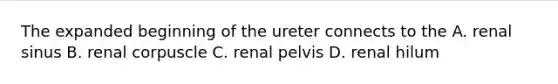 The expanded beginning of the ureter connects to the A. renal sinus B. renal corpuscle C. renal pelvis D. renal hilum