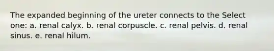 The expanded beginning of the ureter connects to the Select one: a. renal calyx. b. renal corpuscle. c. renal pelvis. d. renal sinus. e. renal hilum.