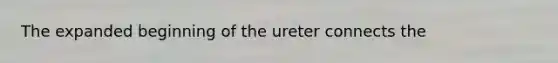 The expanded beginning of the ureter connects the