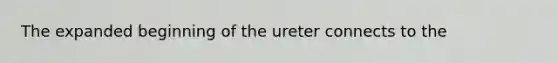 The expanded beginning of the ureter connects to the