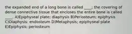 the expanded end of a long bone is called ____; the covering of dense connective tissue that encloses the entire bone is called ____. A)Epiphyseal plate; diaphysis B)Periosteum; epiphysis C)Diaphysis: endosteum D)Metaphysis; epiphyseal plate E)Epiphysis; periosteum