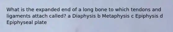 What is the expanded end of a long bone to which tendons and ligaments attach called? a Diaphysis b Metaphysis c Epiphysis d Epiphyseal plate