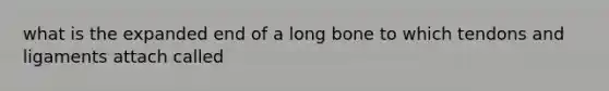 what is the expanded end of a long bone to which tendons and ligaments attach called