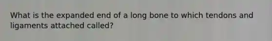 What is the expanded end of a long bone to which tendons and ligaments attached called?