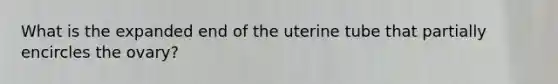 What is the expanded end of the uterine tube that partially encircles the ovary?