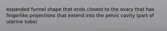 expanded funnel shape that ends closest to the ovary that has fingerlike projections that extend into the pelvic cavity (part of uterine tube)