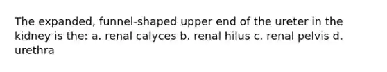 The expanded, funnel-shaped upper end of the ureter in the kidney is the: a. renal calyces b. renal hilus c. renal pelvis d. urethra