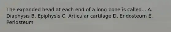 The expanded head at each end of a long bone is called... A. Diaphysis B. Epiphysis C. Articular cartilage D. Endosteum E. Periosteum