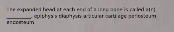 The expanded head at each end of a long bone is called a(n) __________. epiphysis diaphysis articular cartilage periosteum endosteum