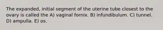 The expanded, initial segment of the uterine tube closest to the ovary is called the A) vaginal fornix. B) infundibulum. C) tunnel. D) ampulla. E) os.