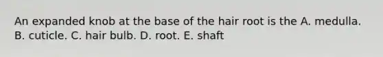 An expanded knob at the base of the hair root is the A. medulla. B. cuticle. C. hair bulb. D. root. E. shaft