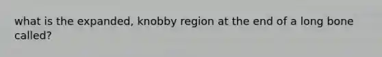 what is the expanded, knobby region at the end of a long bone called?