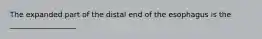 The expanded part of the distal end of the esophagus is the __________________