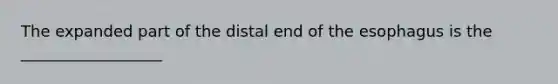 The expanded part of the distal end of the esophagus is the __________________