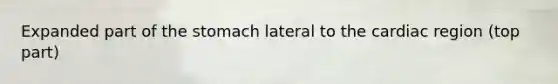 Expanded part of <a href='https://www.questionai.com/knowledge/kLccSGjkt8-the-stomach' class='anchor-knowledge'>the stomach</a> lateral to the cardiac region (top part)